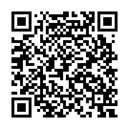 QR code for IIO317