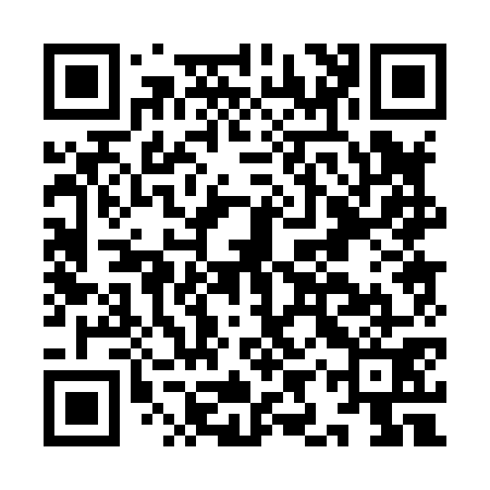QR code for IIP871