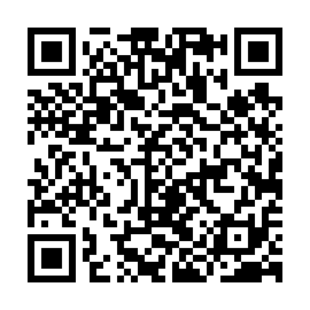 QR code for IIT611