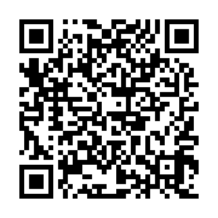 QR code for IIT919