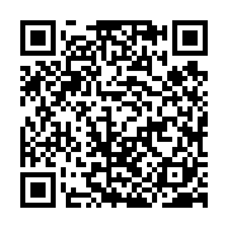 QR code for IIZ621