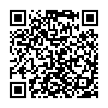 QR code for IJB299
