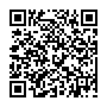 QR code for IJB466