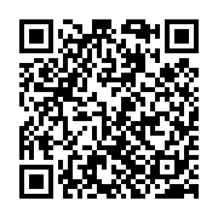QR code for IJC411