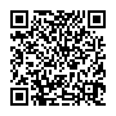 QR code for IJC505