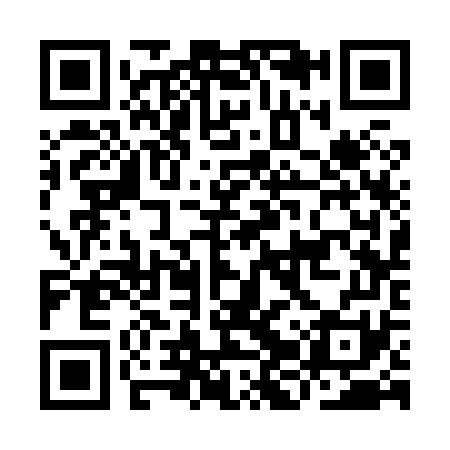 QR code for IJS871