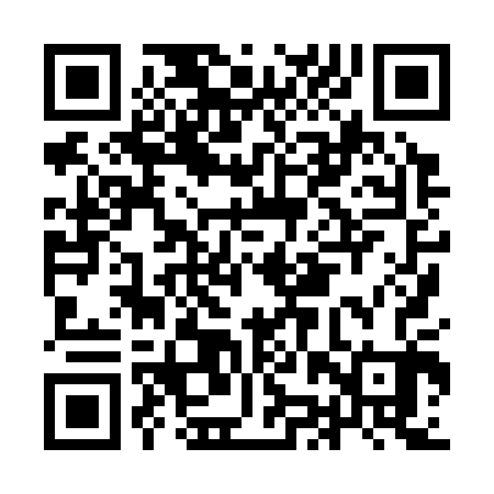 QR code for IJX303