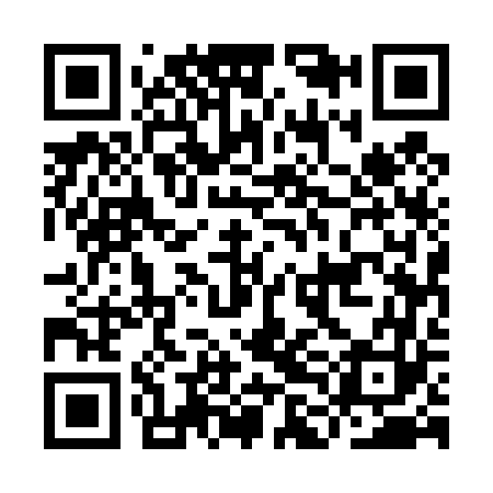 QR code for ILE463