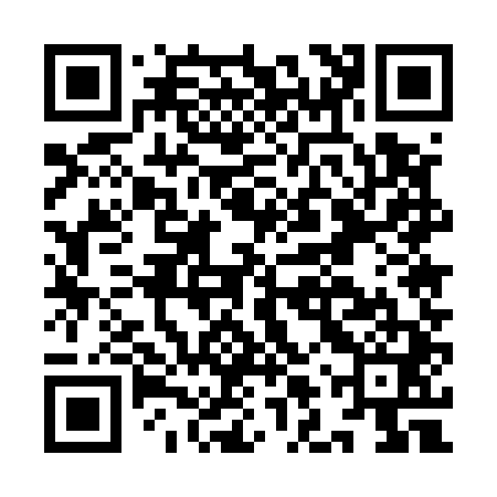 QR code for ILU541