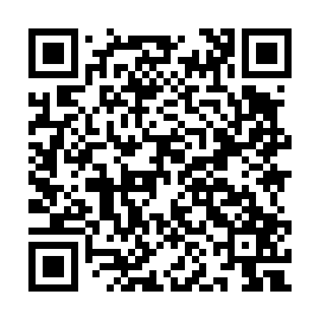 QR code for INI407