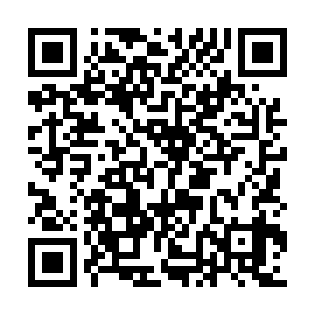 QR code for INL539