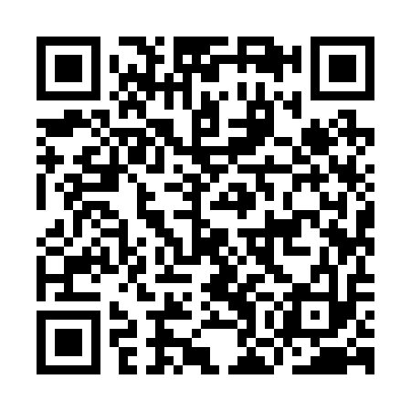 QR code for IOI213