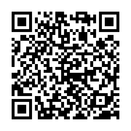 QR code for IOJ539