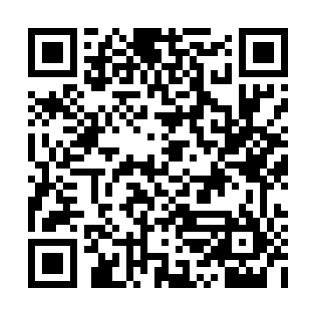 QR code for IRN545