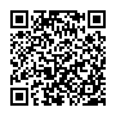 QR code for ISK384