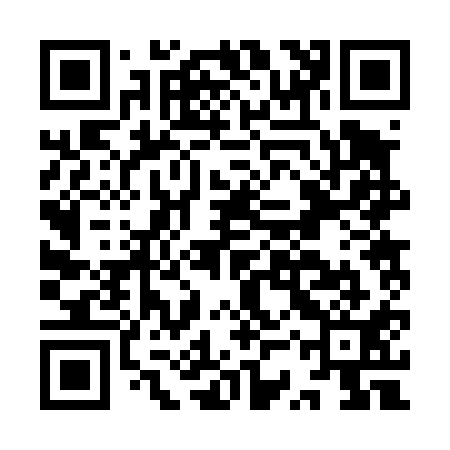 QR code for ISR411
