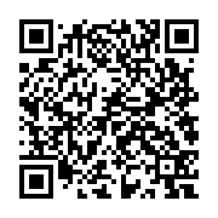 QR code for ISV133