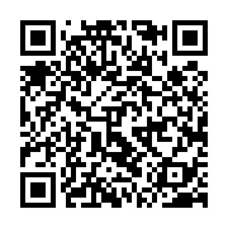 QR code for IUT539