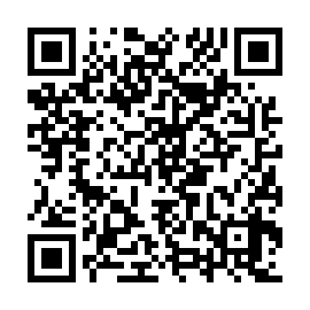 QR code for IZV538