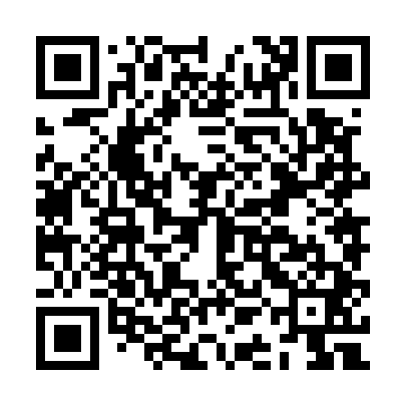 QR code for JAN541