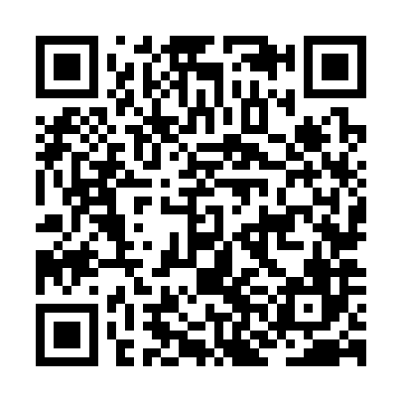 QR code for JNN386