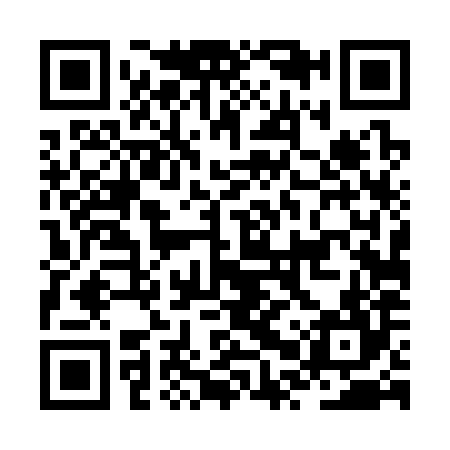 QR code for JPT384