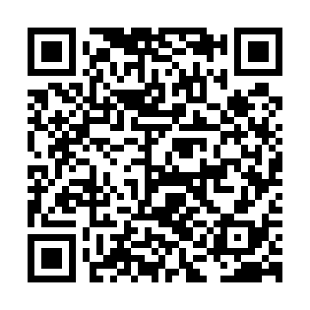 QR code for LAG538