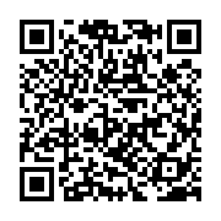 QR code for LAI538