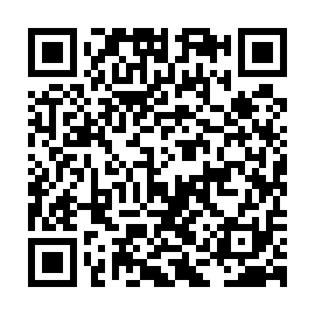 QR code for LAY511