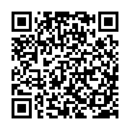 QR code for LBX381