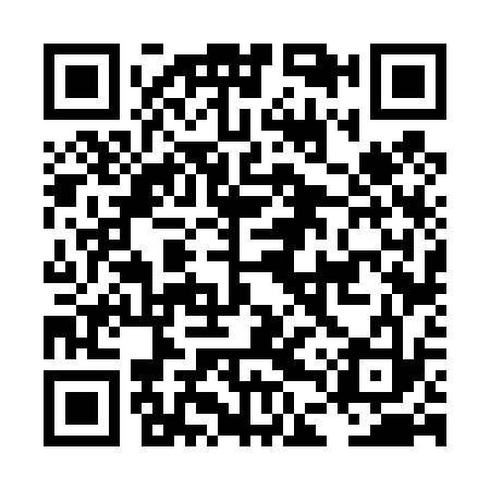 QR code for LDV433