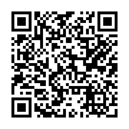 QR code for LFR386