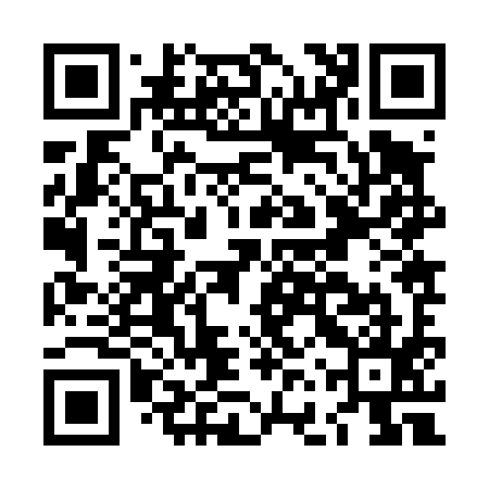 QR code for LFZ495
