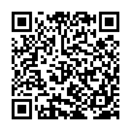 QR code for LIE594