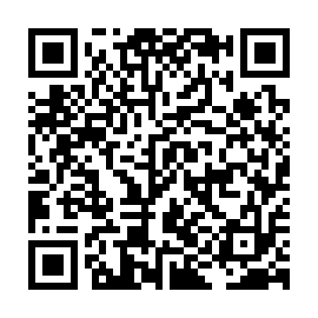 QR code for LIG313