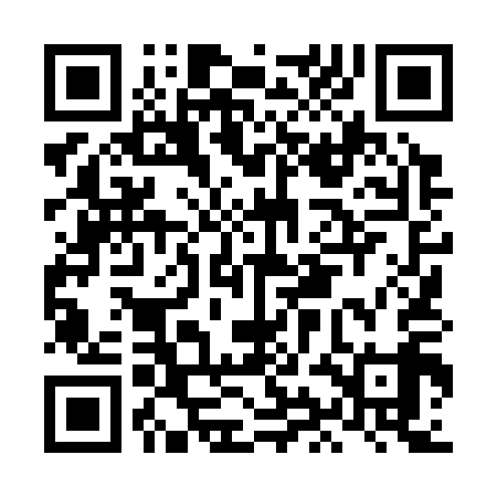 QR code for LIL319