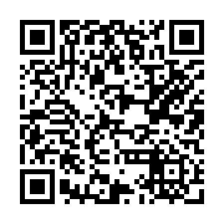 QR code for LIL919