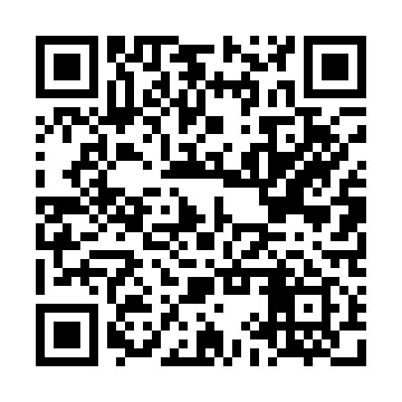 QR code for LIT119