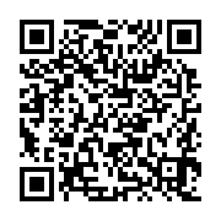 QR code for LIZ391