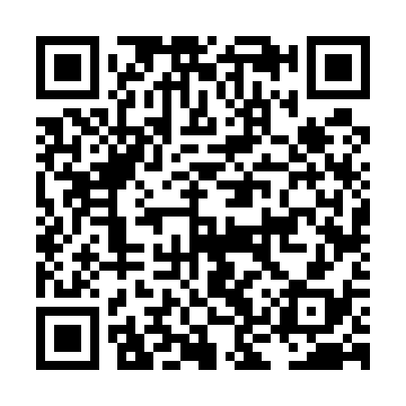 QR code for LKV538