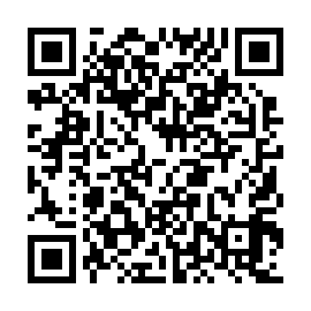 QR code for LLQ219