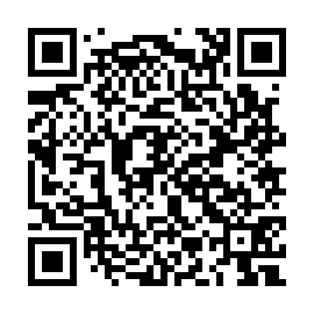 QR code for LMZ171