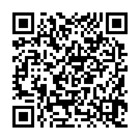 QR code for LOI384