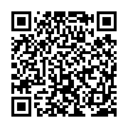 QR code for LOZ613