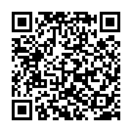 QR code for LPF538