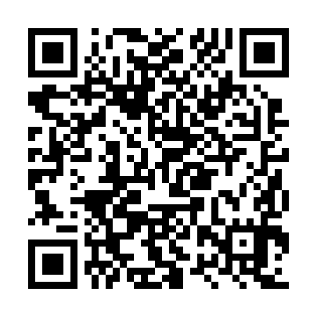 QR code for LRR295