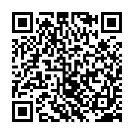 QR code for LSG993