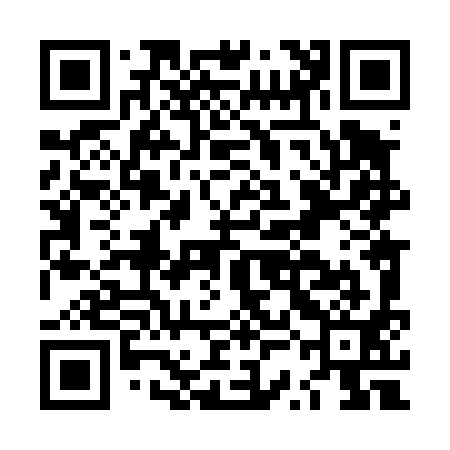 QR code for LSL491