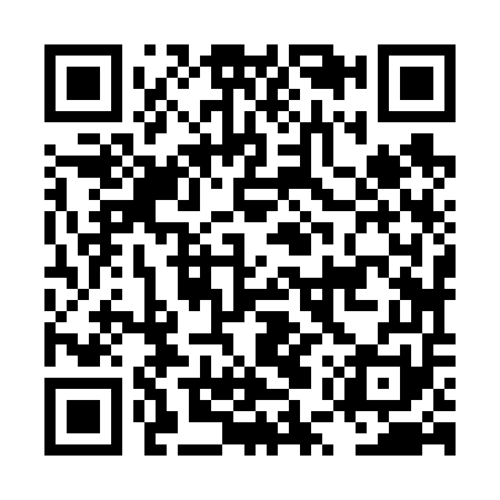 QR code for LUZ651