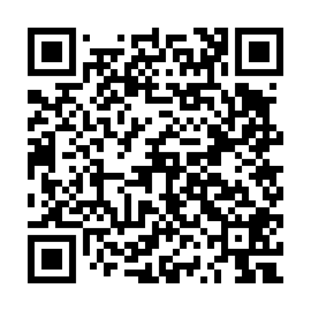 QR code for LVG408